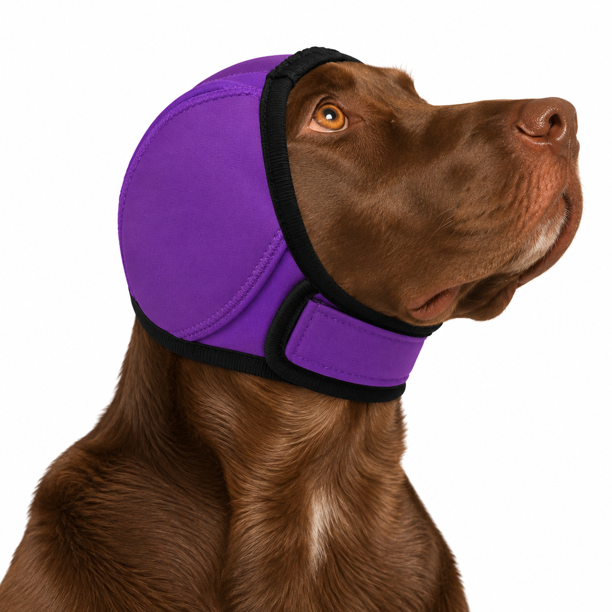 Dog Calming Ear Muffs