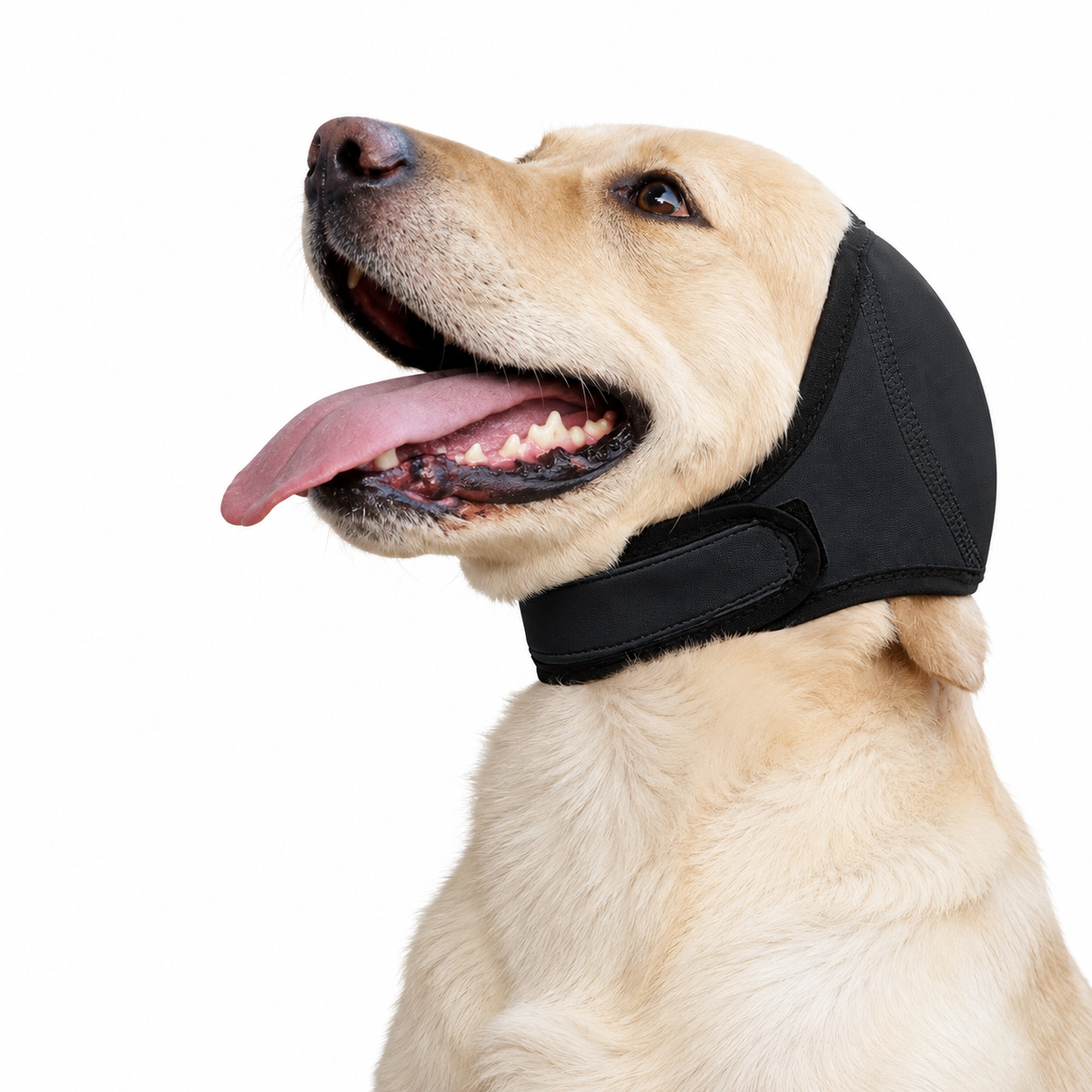 Dog Calming Ear Muffs