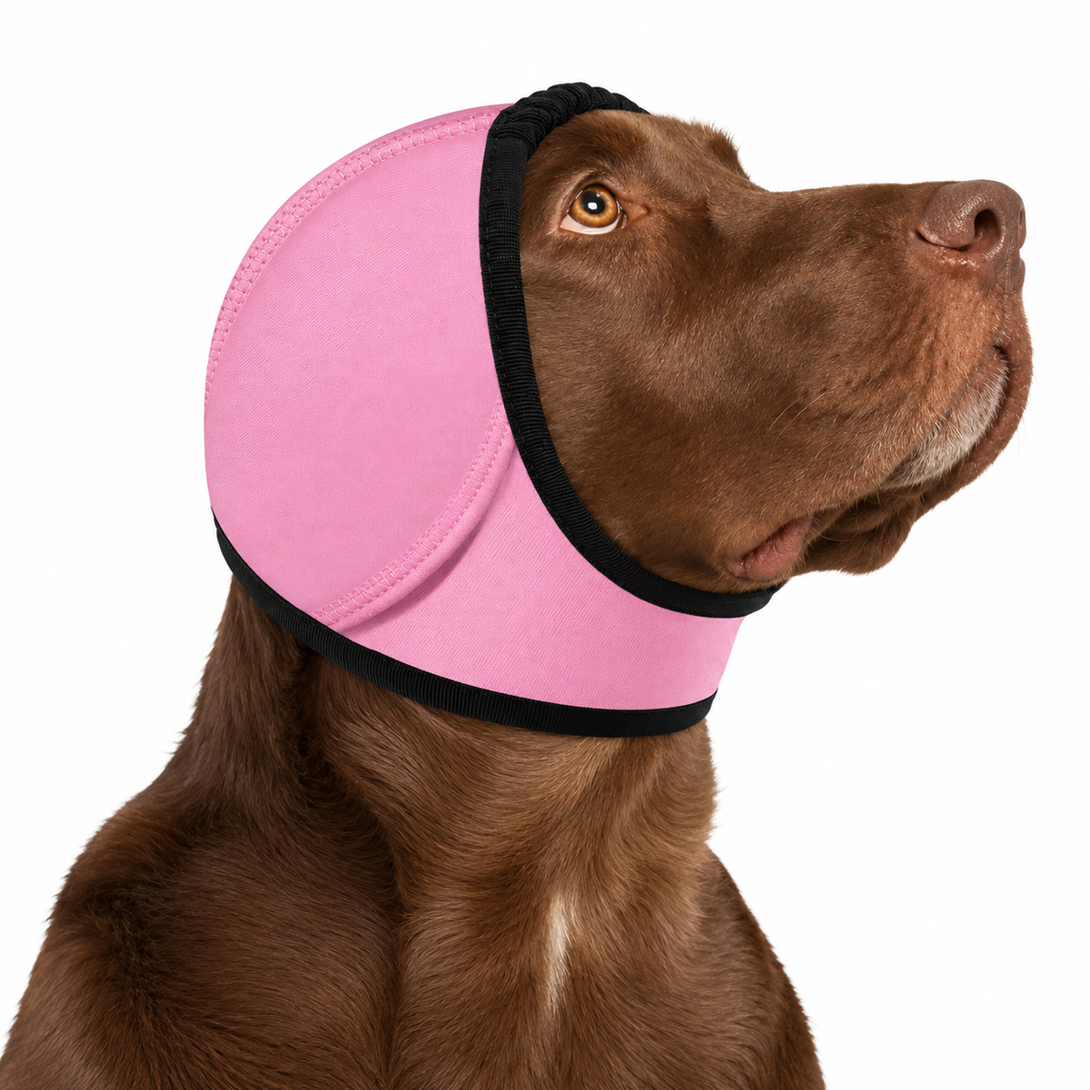 Dog Calming Ear Muffs