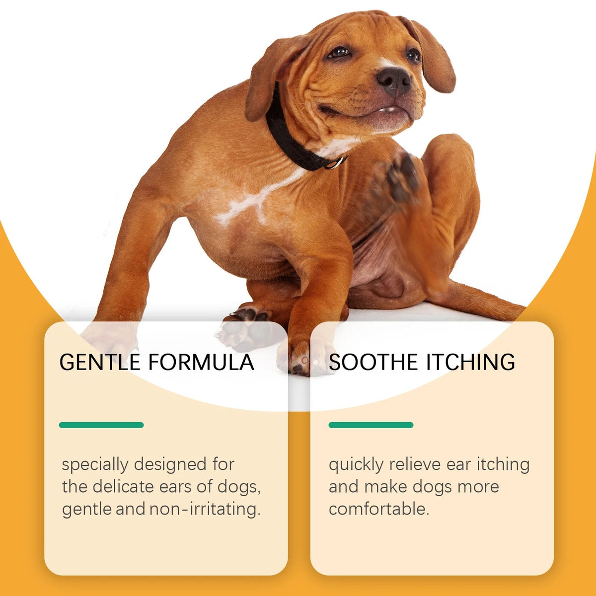 Dog Ear Care Drops