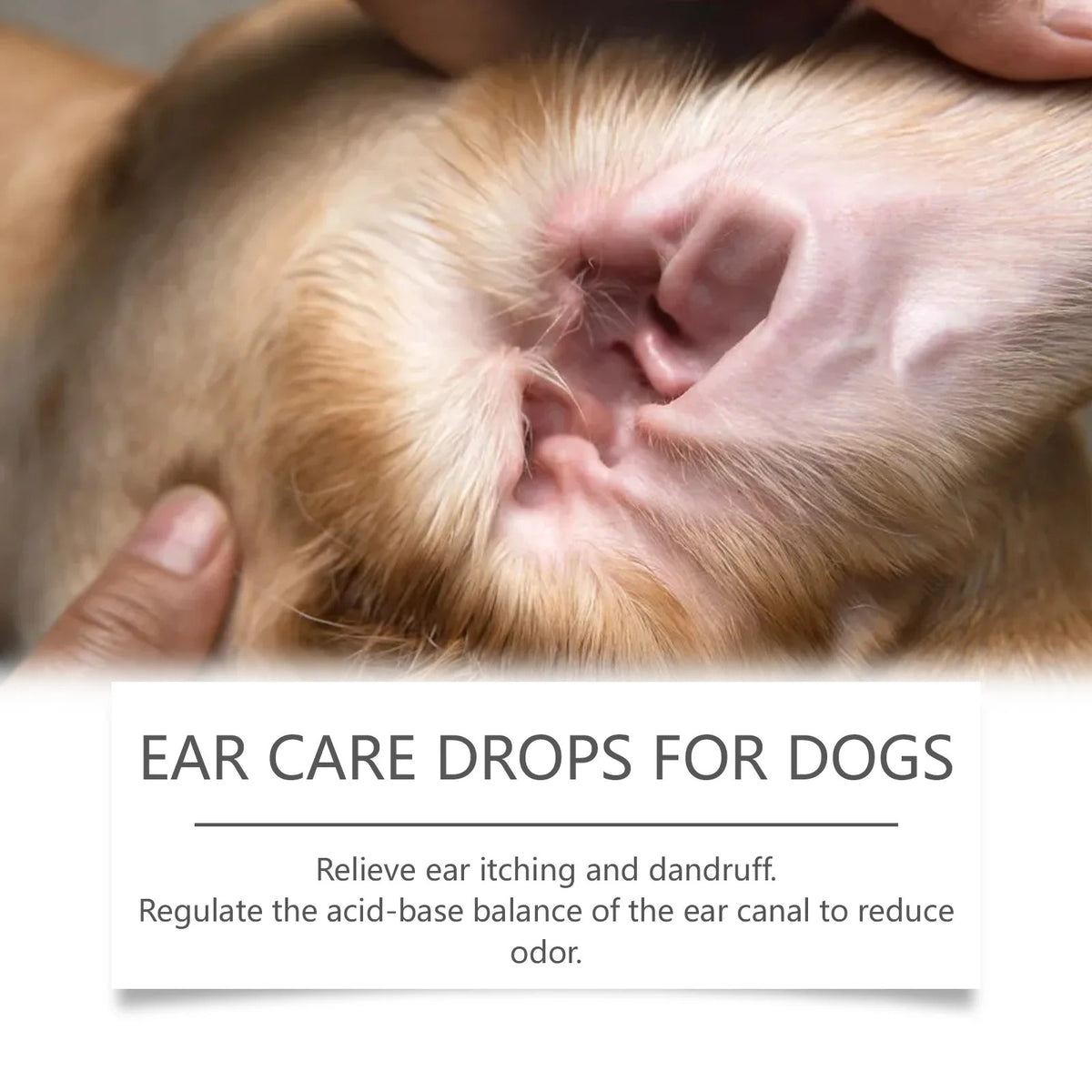 Dog Ear Care Drops